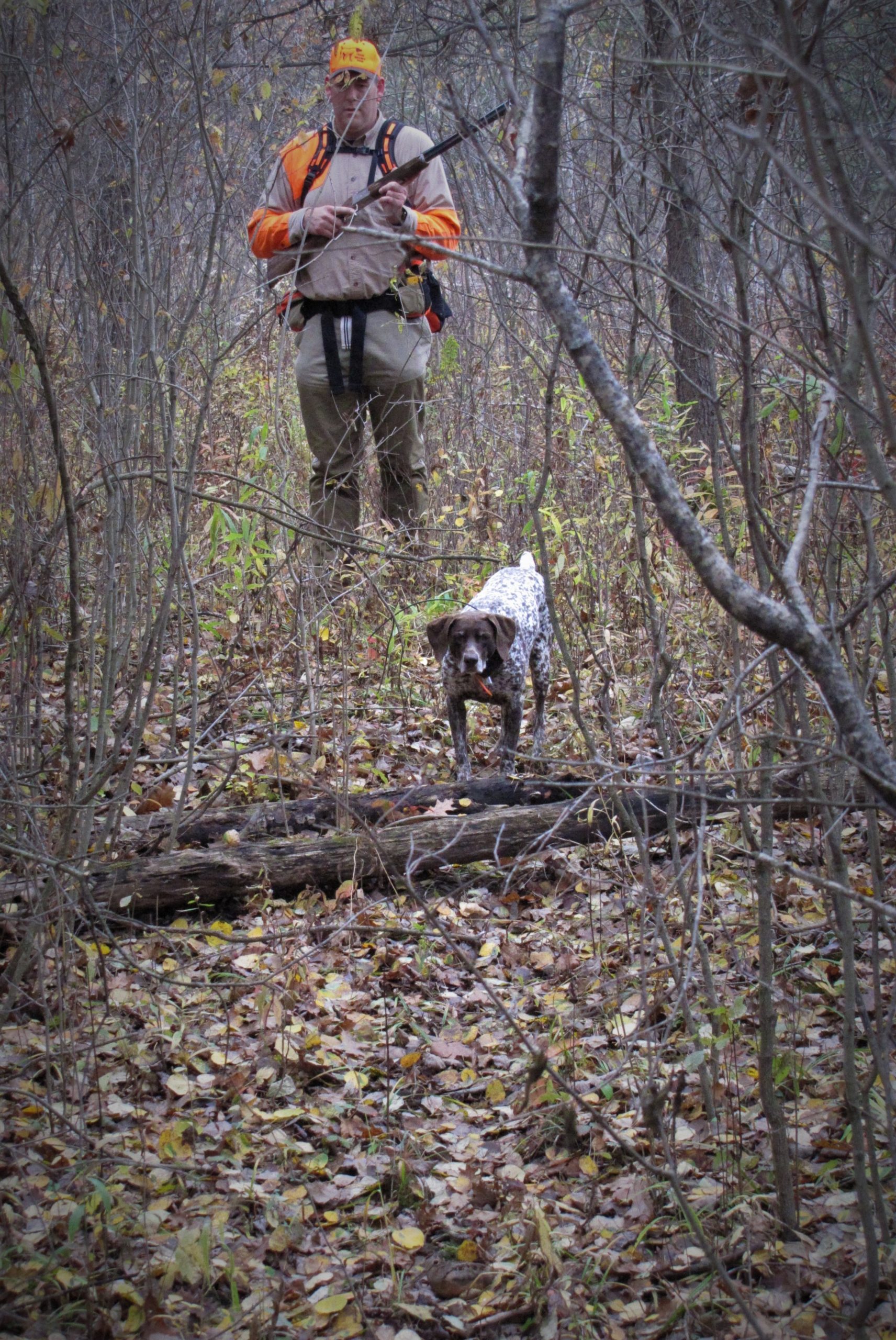 Paul and the trail bird (2)